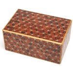 Japanese puzzle box 21steps brown – Zboží Mobilmania