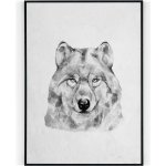 Plakát / Obraz Vlk 30 x 40 cm Tiskové plátno – Hledejceny.cz