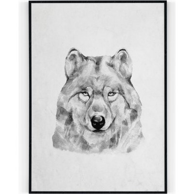 Plakát / Obraz Vlk 30 x 40 cm Tiskové plátno – Hledejceny.cz
