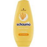 Schauma Gentle Repair Conditioner 250 ml – Zboží Dáma