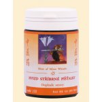 TCM Herbs Hvizd stříbrné píšťalky 100 tablet – Hledejceny.cz