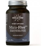 Hifas da Terra Mico-Five Immune System 70 kapslí – Hledejceny.cz