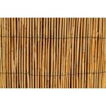 Rohož rákosová, 1 x 5 m – Zboží Mobilmania