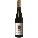 Vican Rulandské Modré Pozdní sběr 13% 0,75 l (holá láhev) – Hledejceny.cz