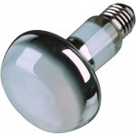 Trixie Basking Spot Lamp 100 W – Zbozi.Blesk.cz