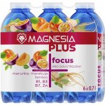 Magnesia Focus jemně perlivá meruňka marakuja ženšen 6 x 0,7 l – Hledejceny.cz