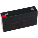 Alarmguard 6V 1,3Ah 20A – Zboží Živě
