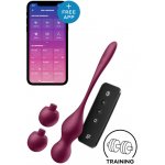 Satisfyer Love Birds Vary Connect App – Zboží Dáma
