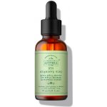 Havlíkova apotéka BIO Arganový olej 30 ml – Zbozi.Blesk.cz