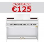 Casio GP-310 – Hledejceny.cz