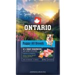 Ontario Puppy & Junior All Breeds Monoprotein Turkey & Sweet Potatoes 0,75 kg – Hledejceny.cz