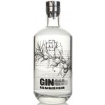 Rammstein GIN 40% 0,7 l (holá láhev) – Sleviste.cz