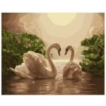Norimpex Diamantové malování Labutí píseň 30 x 40 cm – Sleviste.cz