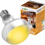 Repti Zoo Intense Basking Spot 50 W – Zboží Dáma