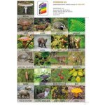 Sada pexesa Já a můj svět 2 – Hledejceny.cz