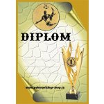 VIZINGR Nohejbal diplom A4 č.17 – Zboží Dáma