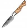 Kuchyňský nůž NAIFU Vykrajovací nůž z damaškové oceli řady MASTER 3,5" 22 cm