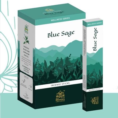 Himalaya Wellness Series vonné tyčinky Blue Sage 15 ks – Hledejceny.cz