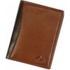 Peněženka El Forrest Pánská kožená peněženka El Forrest 2575-21 RFID hnědá (malá)