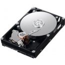 Pevný disk interní IBM Express 2TB, 3,5", 7200rpm, 81Y9794