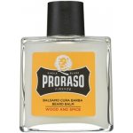 Proraso balzám na vousy 100 ml – Sleviste.cz