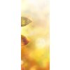 Tapety WEBLUX Samolepka na dveře fólie Beautiful colorful autumn natural background panorama. Orange autumn foliage on blurred gold background glows in sunlight outdoors in natu 90 x 220 cm