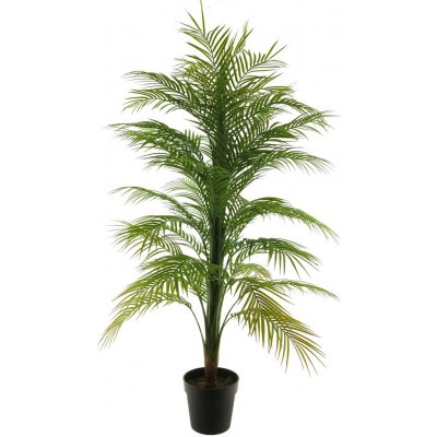 Palma 'Areca' v květináči V140 cm – Zboží Mobilmania