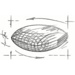 Royal Canin Veterinary Diet Dog Gastrointestinal Low Fat Small 1,5 kg – Sleviste.cz