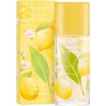 Elizabeth Arden Green Tea Honeysuckle toaletní voda dámská 100 ml – Hledejceny.cz