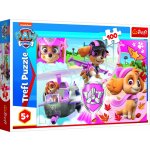 Trefl Paw Patrol Tlapková patrola Skye v akci 16368 100 dílků – Zbozi.Blesk.cz