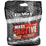 Fitmax Mass Active 5000 g – Hledejceny.cz