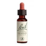 Bachovy květové esence Hořec nahořklý Gentian 20 ml – Hledejceny.cz