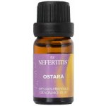 By Nefertitis směs 100% esenciálních olejů OSTARA 10 ml – Hledejceny.cz