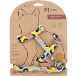 Amiplay Kšíry pro kočku s vodítkem BeHappyCat Watermelon M – Sleviste.cz