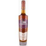 KVINT XO 15 40% 0,7 l (holá láhev) – Zboží Mobilmania