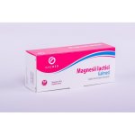 Galmed Magnesii lactici 0,5 g 50 tablet – Hledejceny.cz