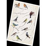 Freestyle Ptáčci 19705 Samolepicí dekorace na zeď 50x70cm – Zboží Dáma Freestyle Ptáčci 19705 Samolepicí dekorace na zeď 50x70cm – Zboží Dáma