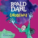 Čarodějnice - Roald Dahl - Čte Kryštof Hádek – Zboží Mobilmania