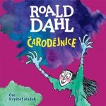 Čarodějnice - Roald Dahl - Čte Kryštof Hádek – Sleviste.cz
