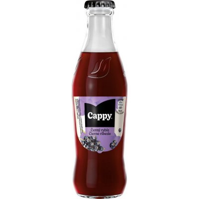 Cappy Černý rybíz 24 x 250 ml – Zboží Dáma