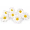 Květina Prima-obchod Umělý květ kopretina Ø7 cm, barva bílá