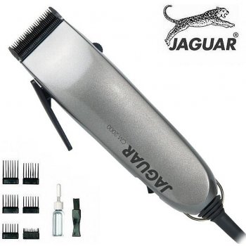 Jaguar Solingen 85601 CM 2000 Silver