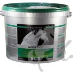 Equistro MEGA BASE 10 kg – Hledejceny.cz