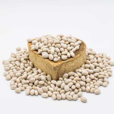 Fitboy Fazole bílá malá 1 kg – Hledejceny.cz