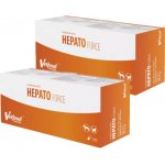 Vatfood HEPATOforce 2 x 120 kapslí – Hledejceny.cz