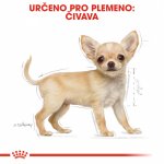 Royal Canin Chihuahua Puppy 1,5 kg – Sleviste.cz