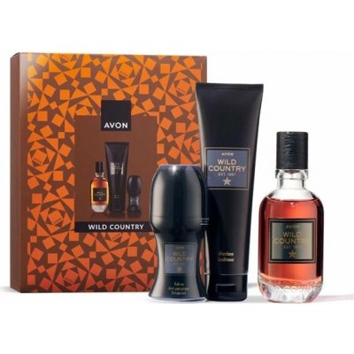 Avon Full Speed Men sprchový gel 250 ml – Hledejceny.cz