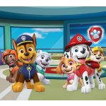 Závěsy foto Paw Patrol 180x160cm FCSXL 4388 – Hledejceny.cz