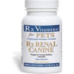 Rx Vitamins Renal Canine tablety 120 ks – Hledejceny.cz