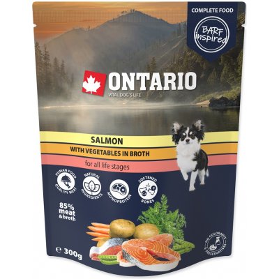 Ontario losos se zeleninou ve vývaru 300 g – Zboží Mobilmania